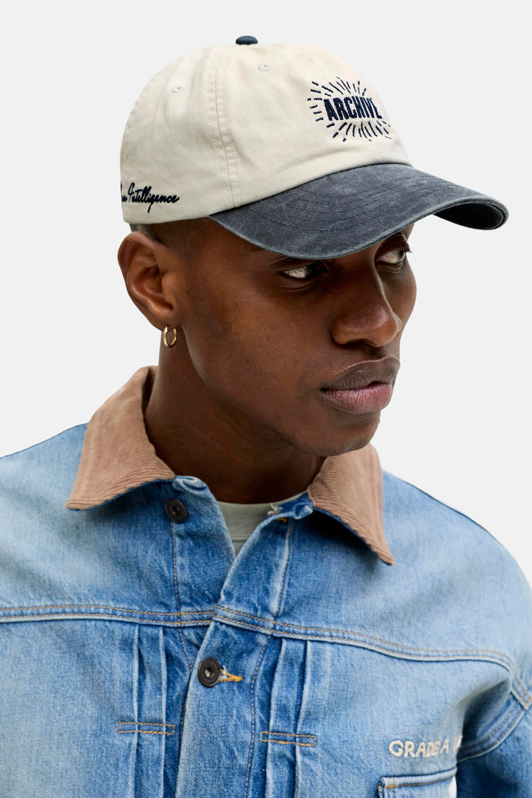 Pet - Beige - Image 6