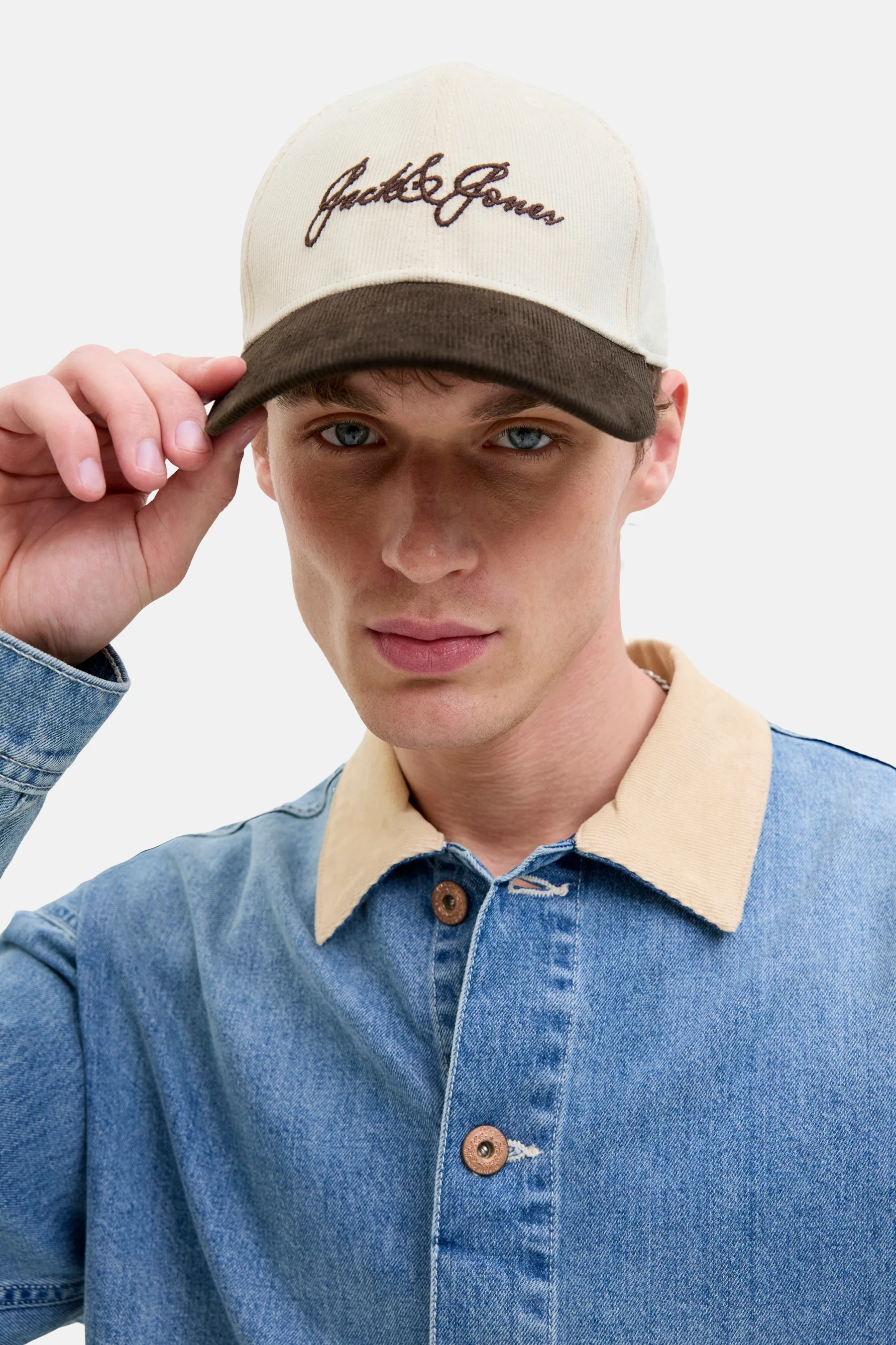 Pet - Beige - Image 6