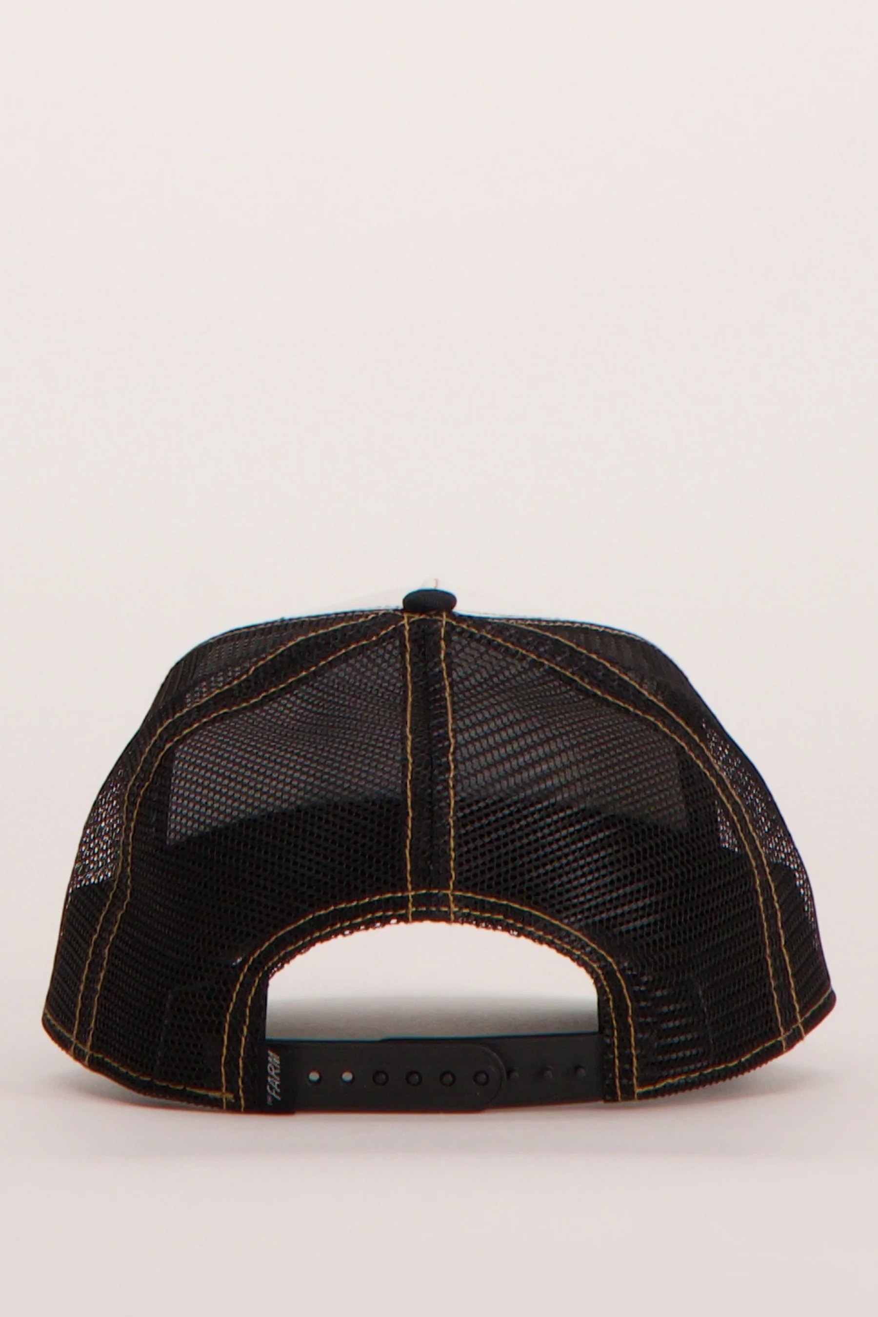 Pet - zwart - Image 3