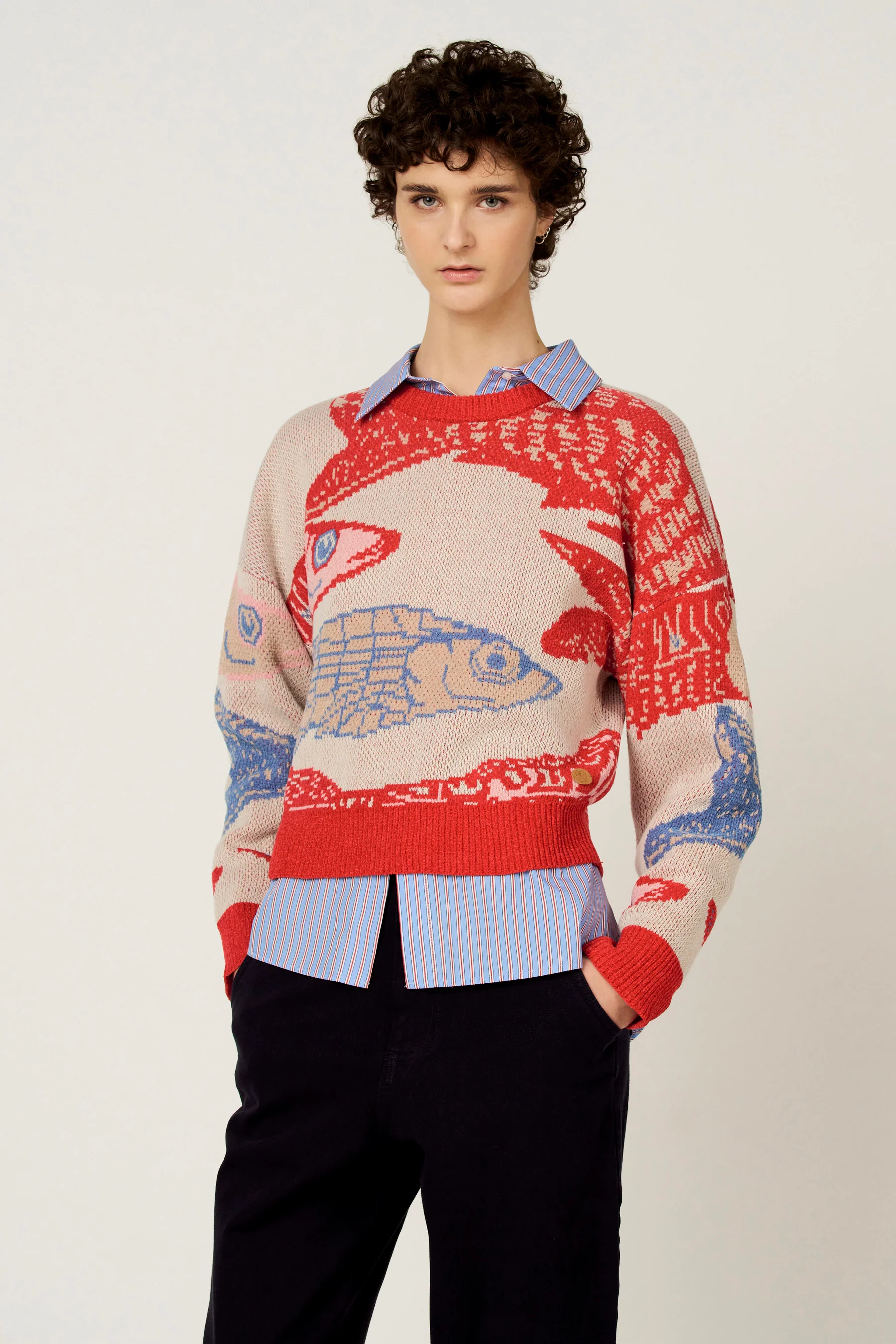 Pull met ronde hals - multicolor