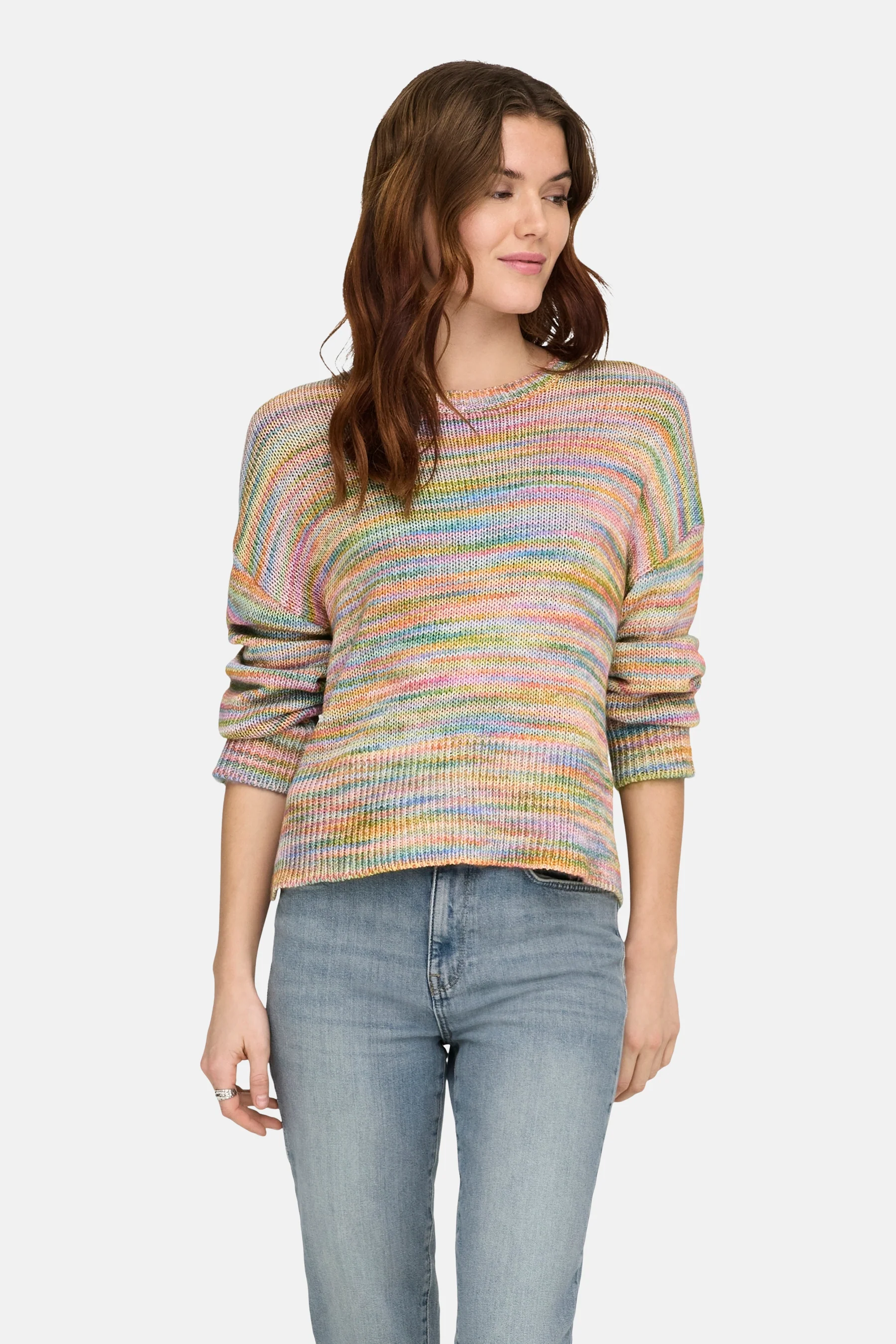 Pull met ronde hals - multicolor