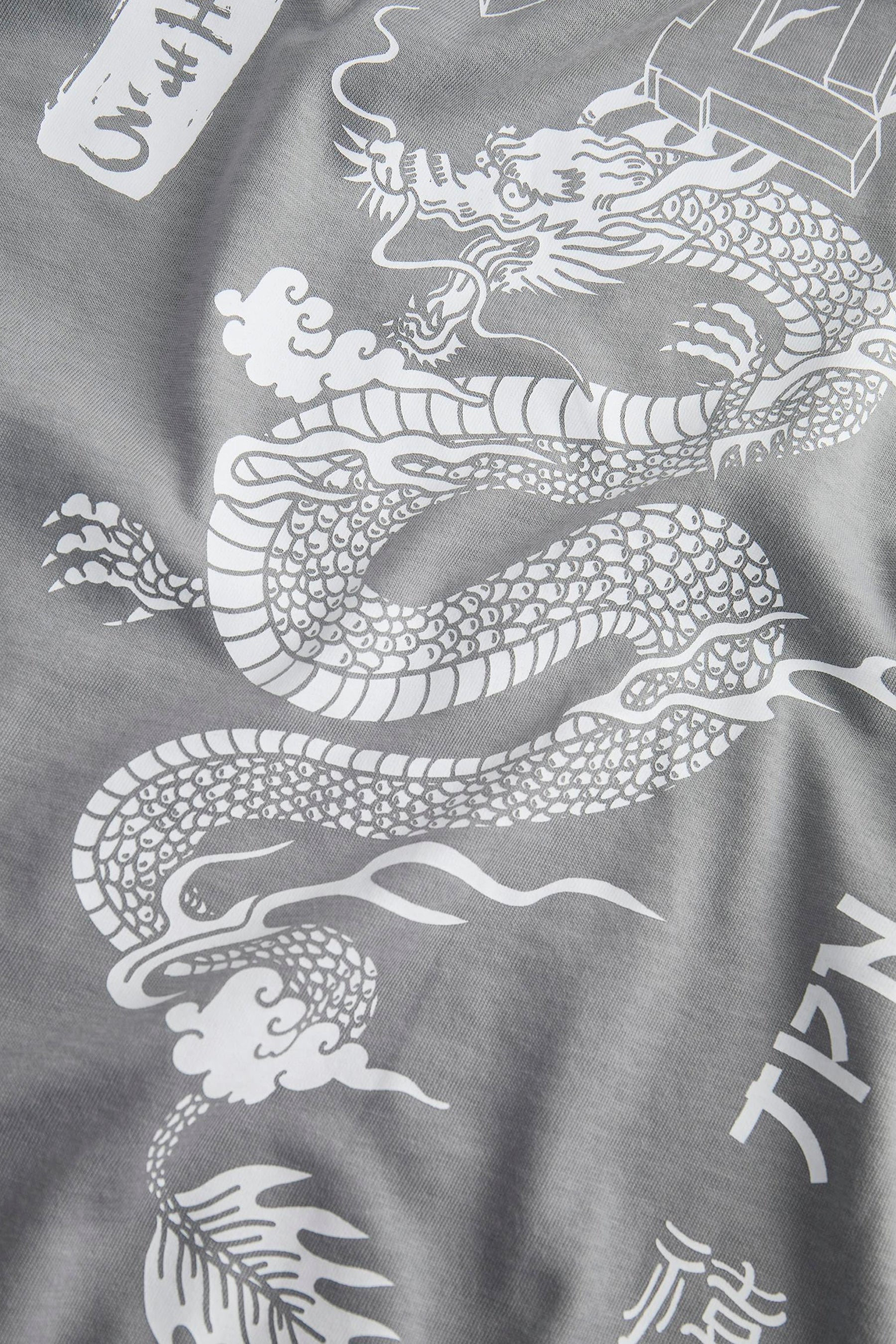 T-shirt met korte mouwen - grijs - Image 2