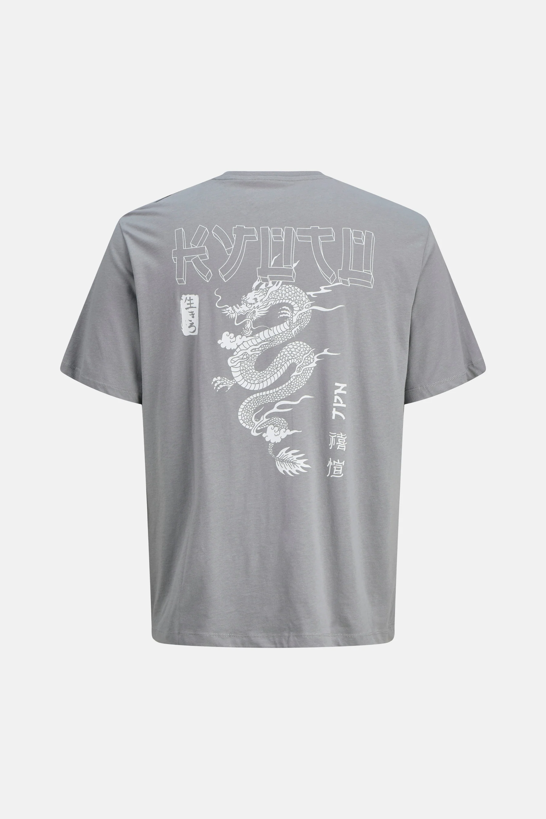T-shirt met korte mouwen - grijs - Image 4