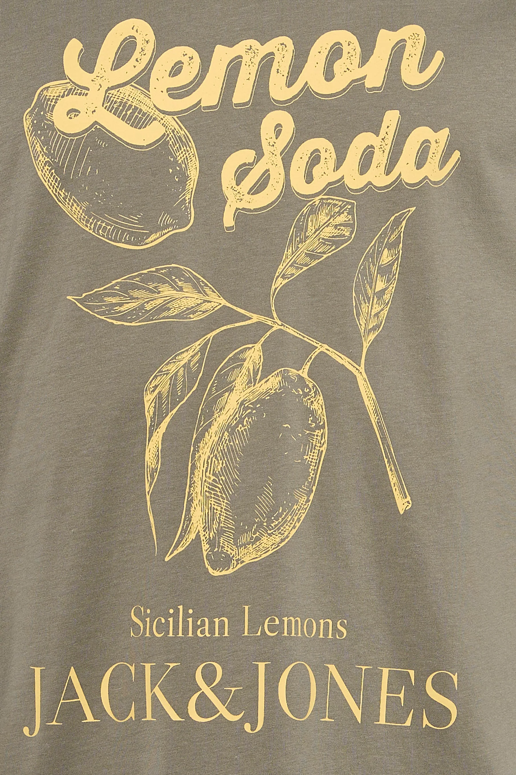 T-shirt - Kaki - Image 6