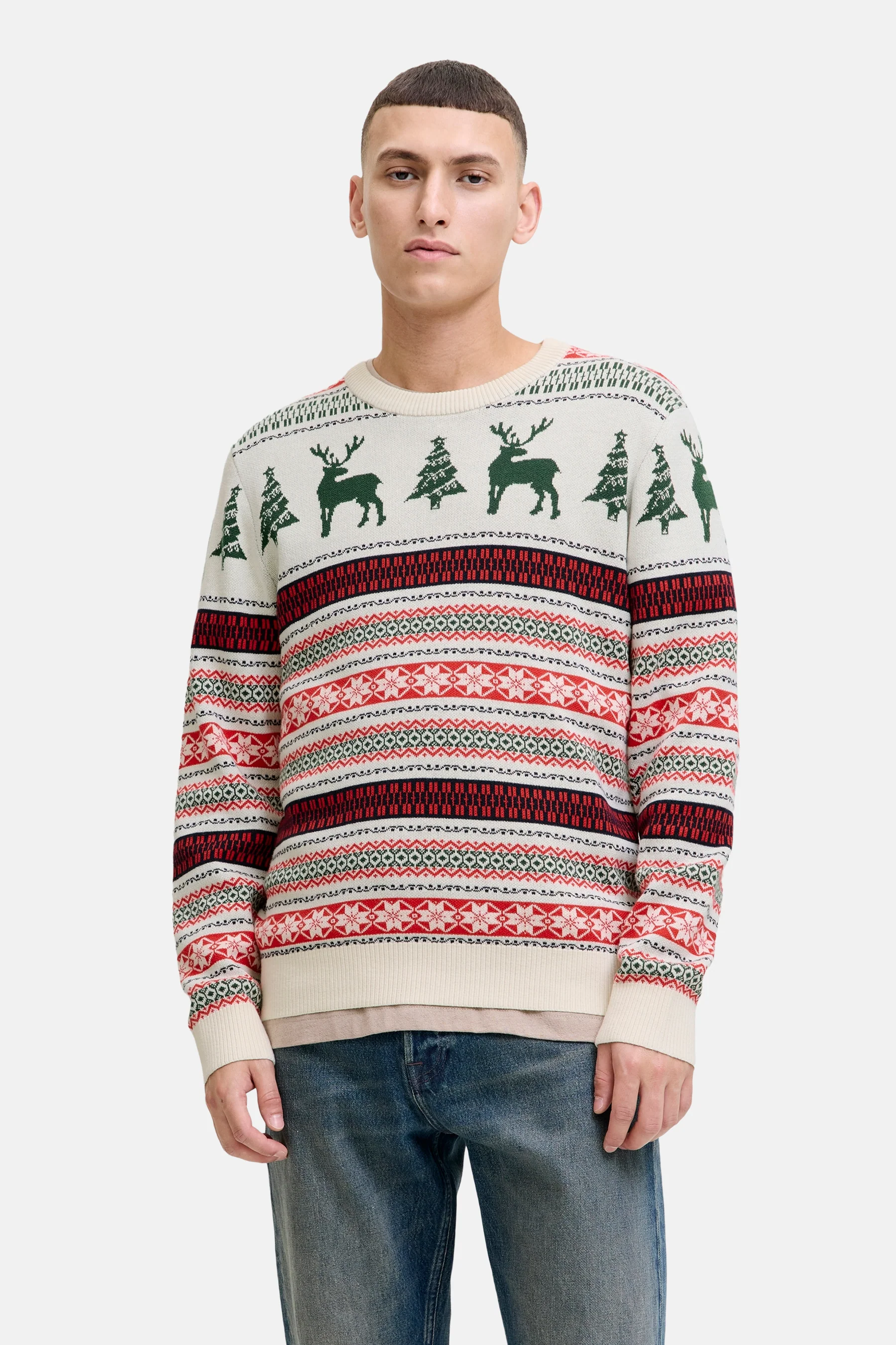 Pull met ronde hals - Multicolor