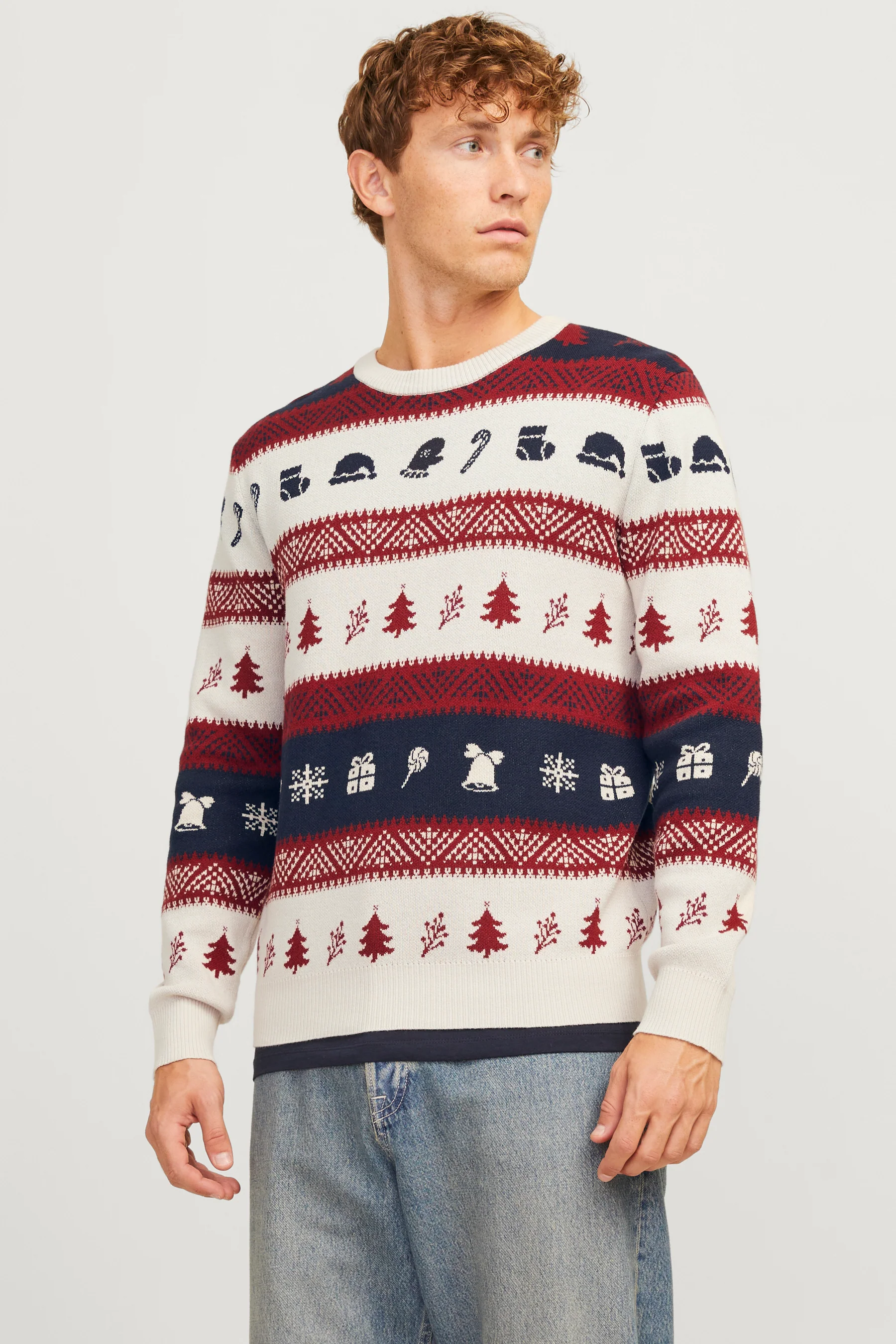 Pull met ronde hals - multicolor