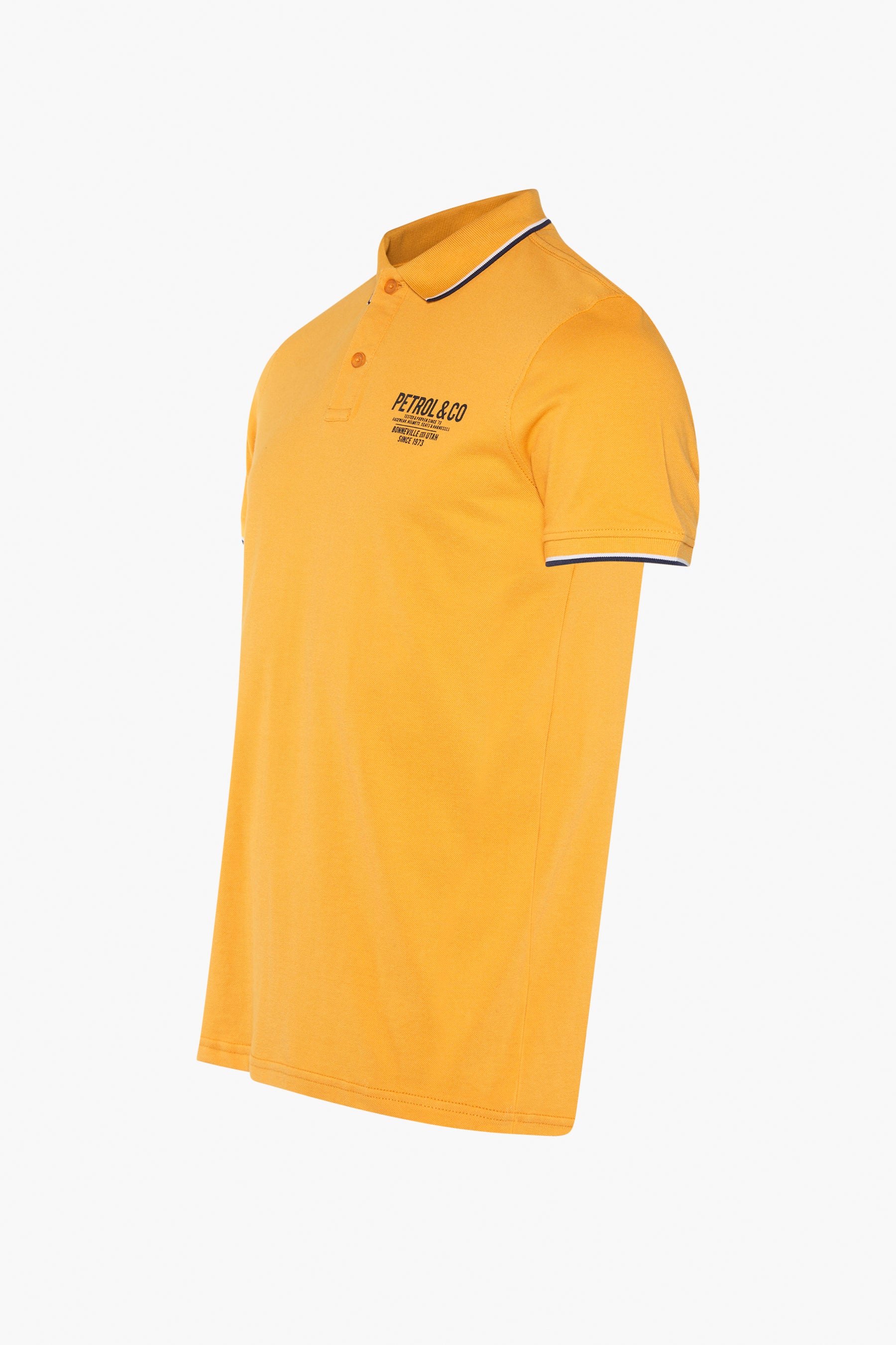 Polo - OCRE - Image 2