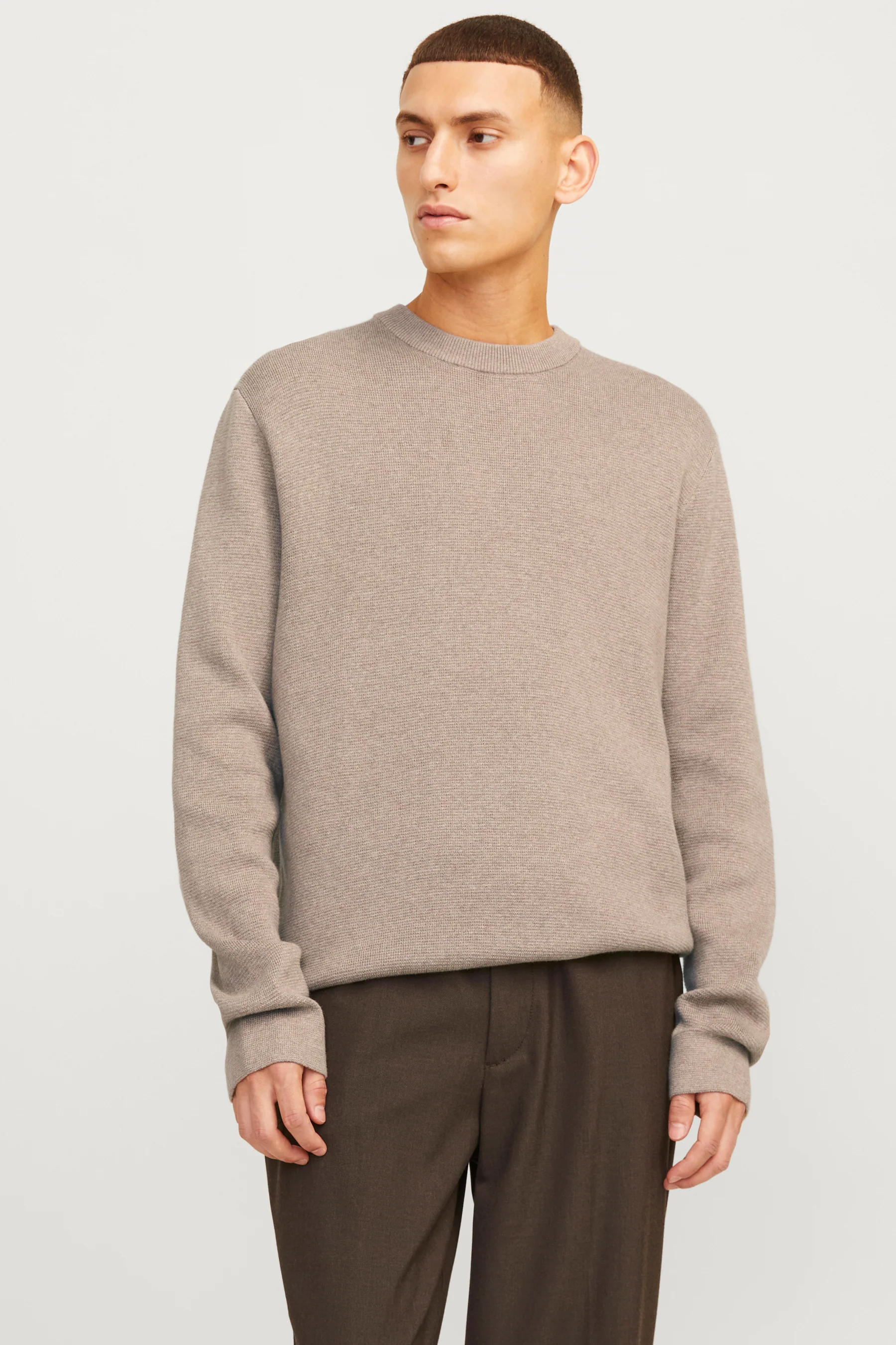 Pull met ronde hals - beige