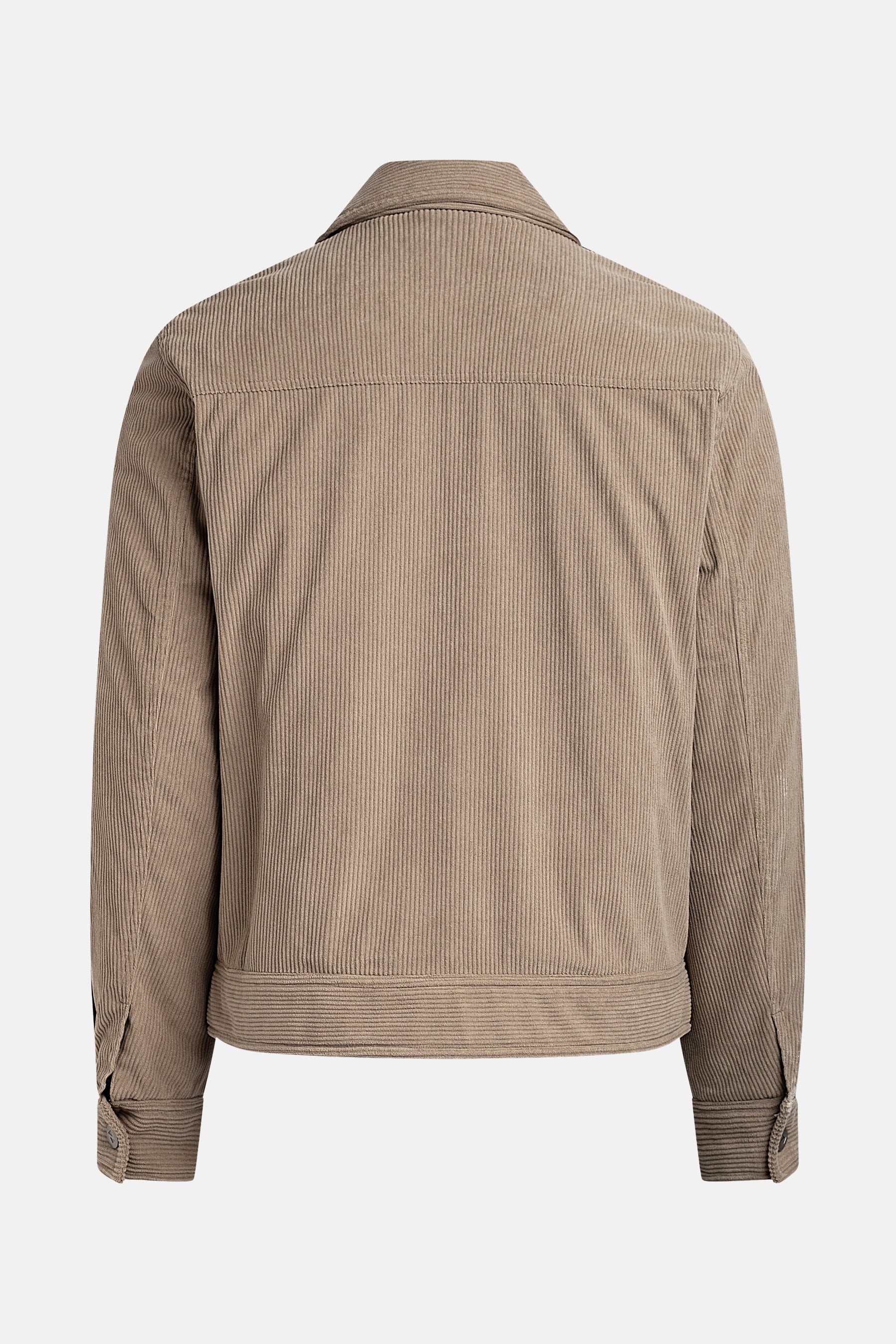 Korte jas - beige - Image 6